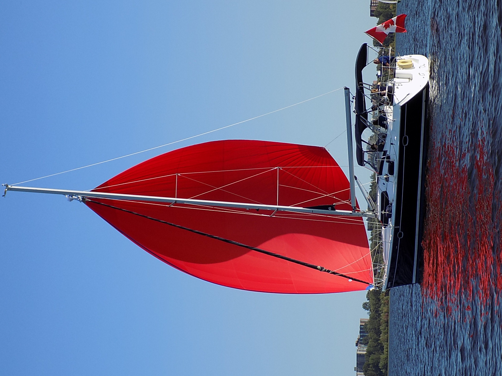 Modern sailboat with spinnaker on calm water